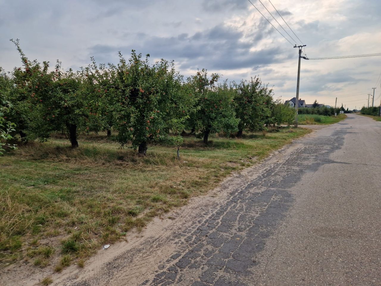 Działka rolna Pęcław. Zdjęcie 6