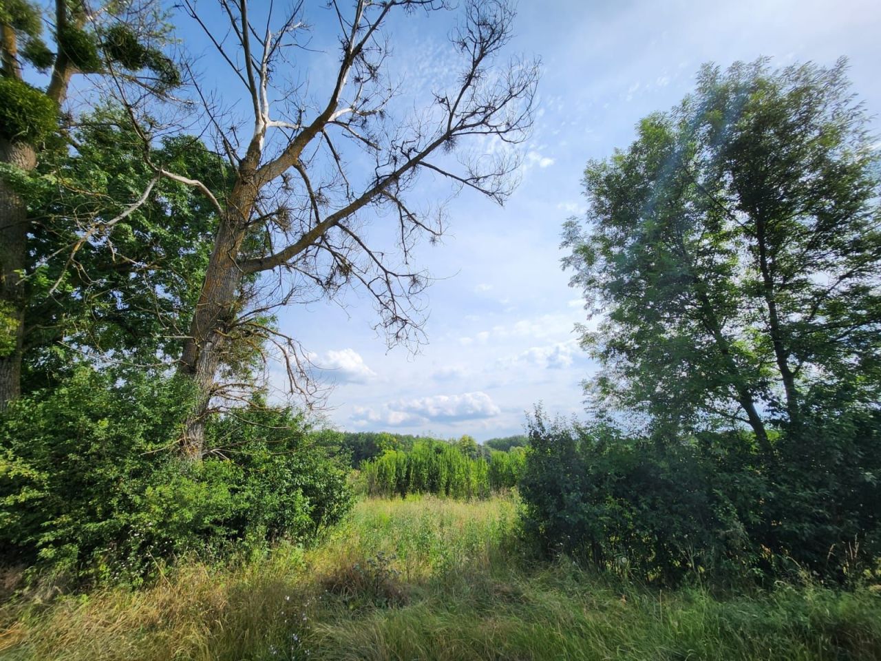 Działka Krowica. Zdjęcie 4