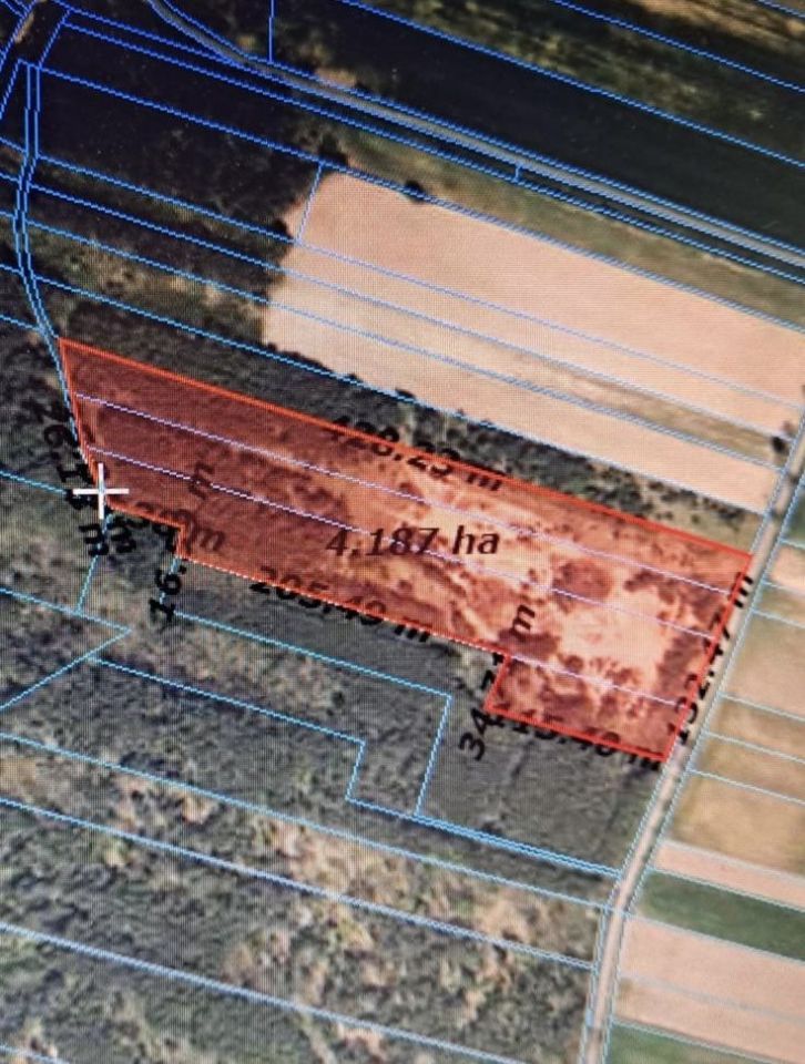 Działka rolno-budowlana Kochlew. Zdjęcie 3