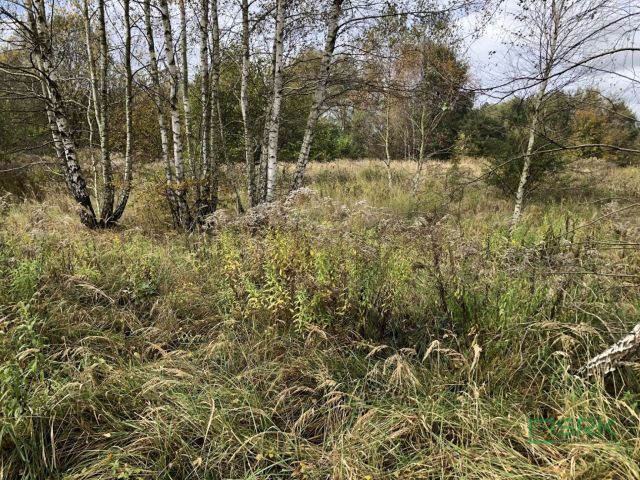 Działka inna Rybnik, ul. Ludwika Zamenhofa. Zdjęcie 3