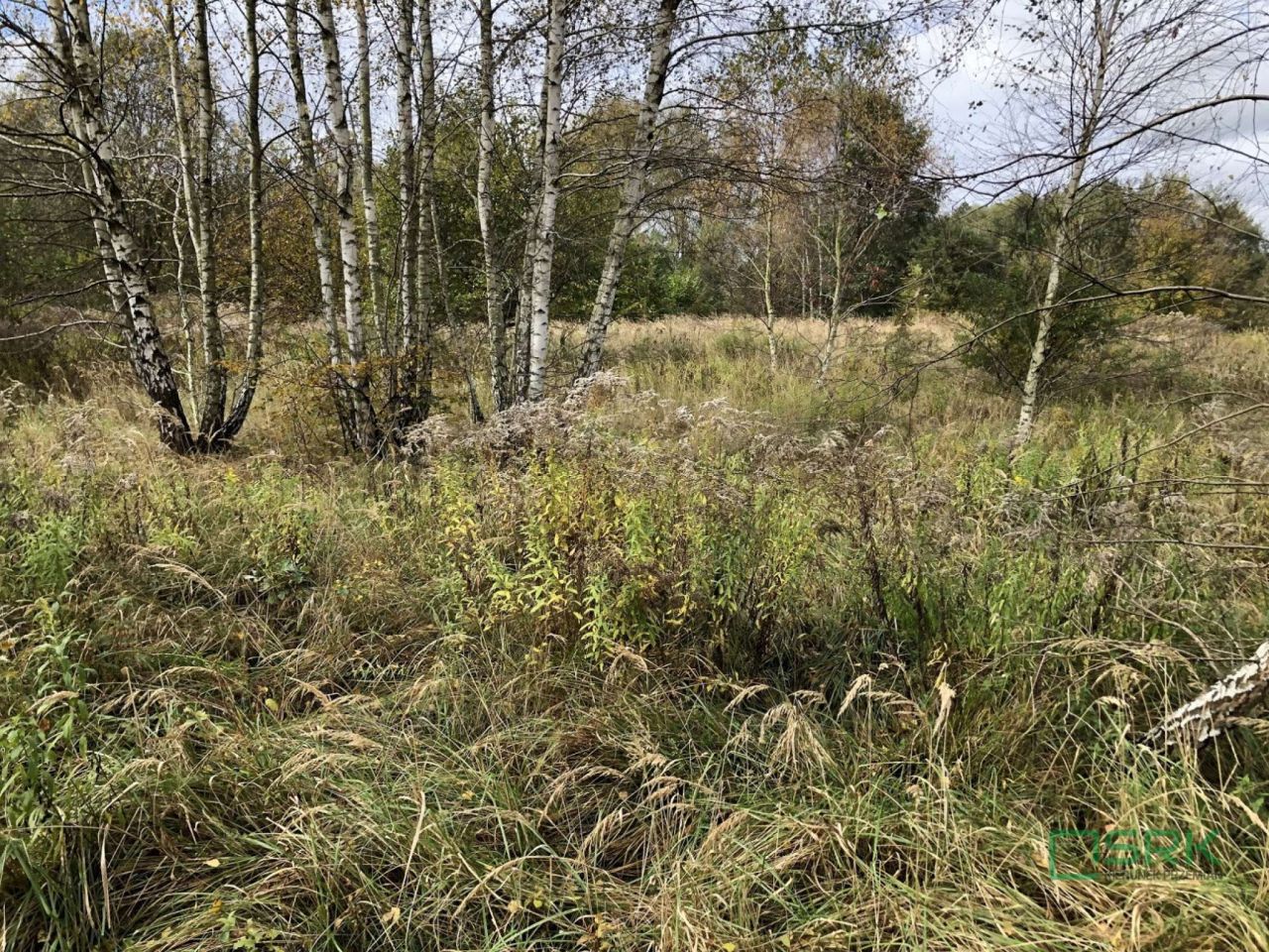 Działka Rybnik, ul. Ludwika Zamenhofa. Zdjęcie 3
