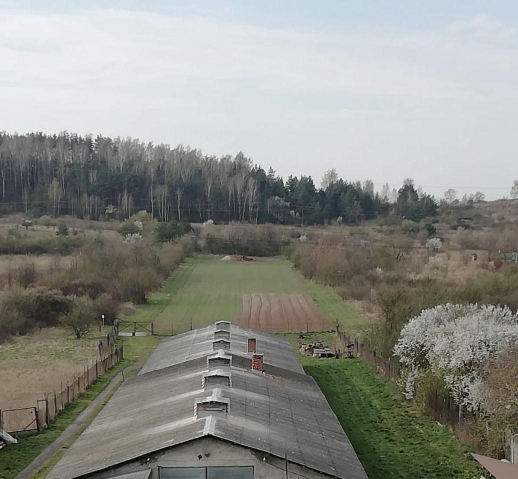 Działka rolno-budowlana Kielce Czarnów, ul. Piekoszowska. Zdjęcie 2