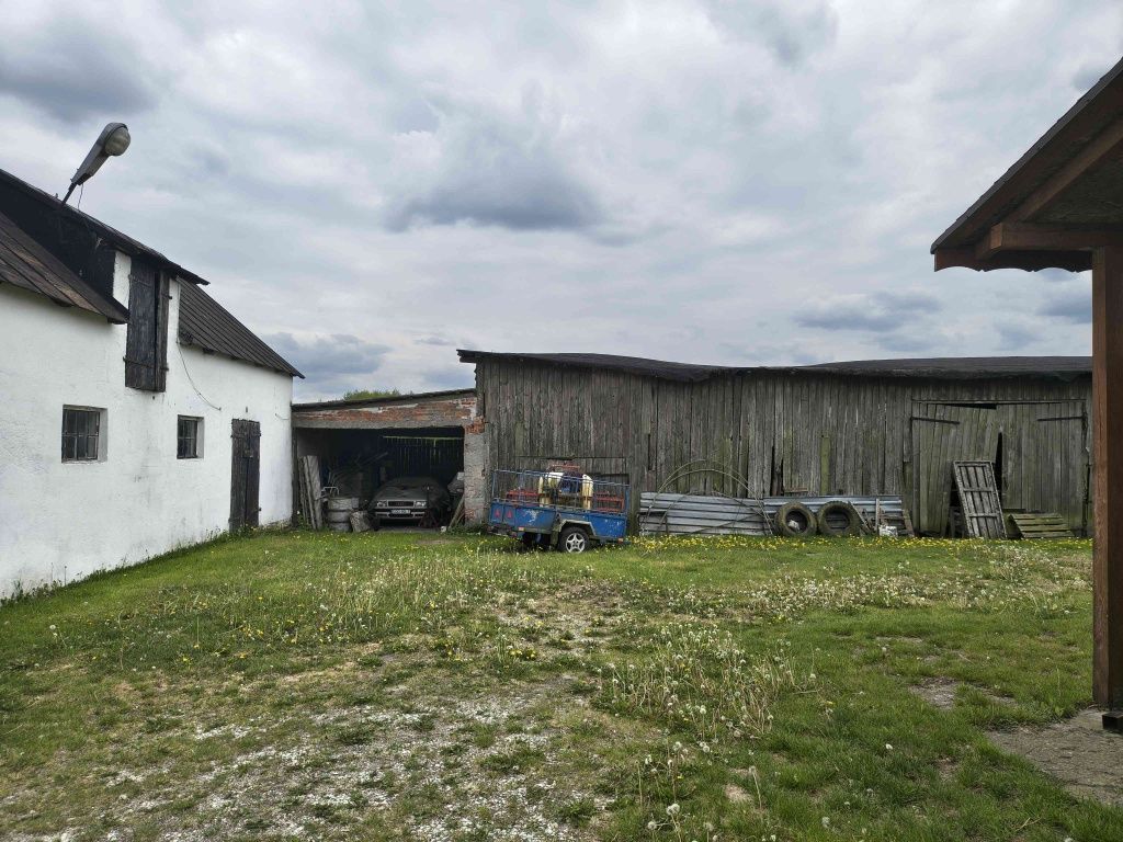 siedlisko Szychowo. Zdjęcie 4