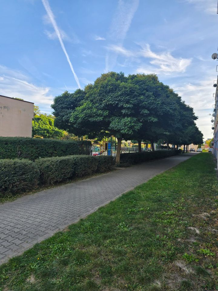 Mieszkanie 2-pokojowe Jelcz-Laskowice Laskowice, ul. Techników. Zdjęcie 6