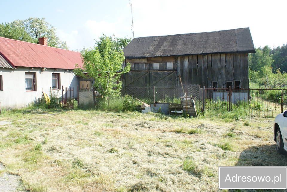 siedlisko Zabłocie. Zdjęcie 7