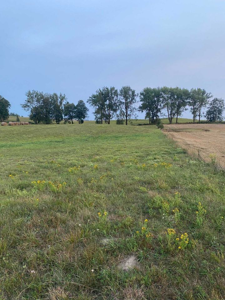 Działka budowlana Sulimy. Zdjęcie 5