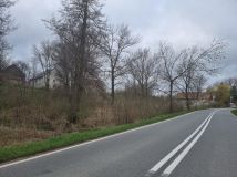 Działka siedliskowa Niedźwiednik. Zdjęcie 3