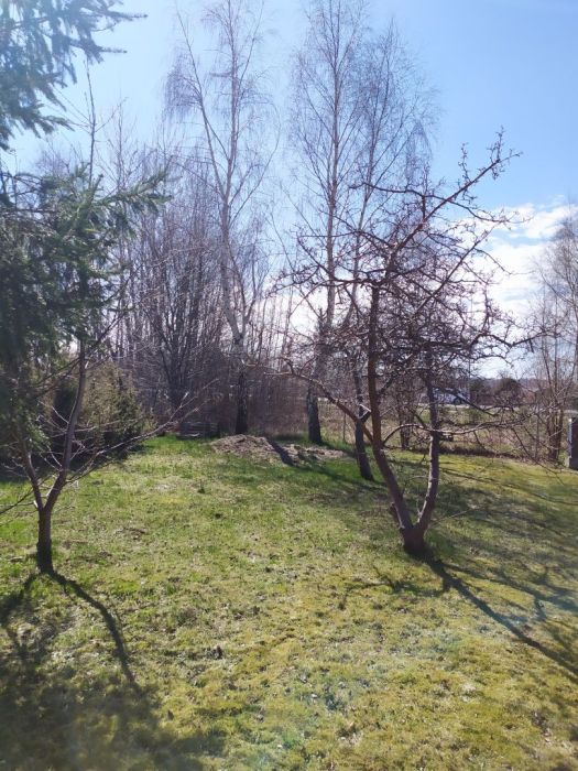 Działka rod Gdańsk, ul. Nowatorów. Zdjęcie 2