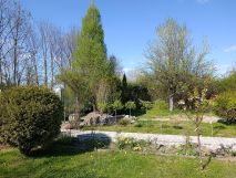 Działka rod Zabrze, ul. Wincentego Witosa. Zdjęcie 2