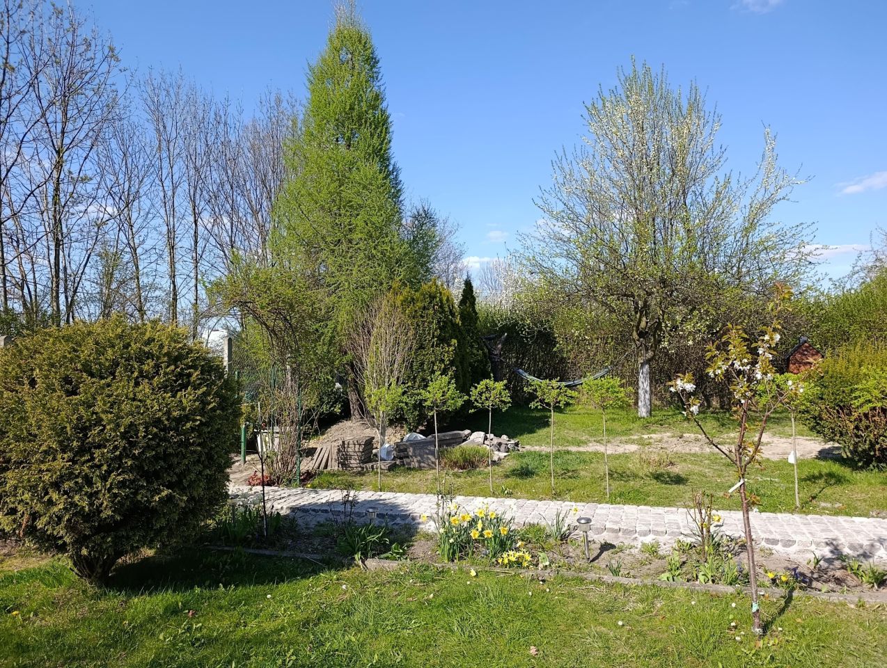 Działka rod Zabrze, ul. Wincentego Witosa. Zdjęcie 3