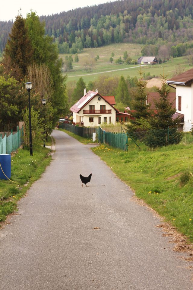 Działka budowlana Bolesławów. Zdjęcie 7