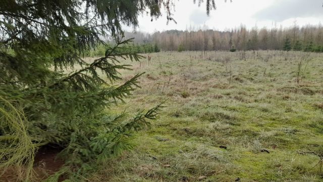 Działka rolno-budowlana Wichrowiec. Zdjęcie 1