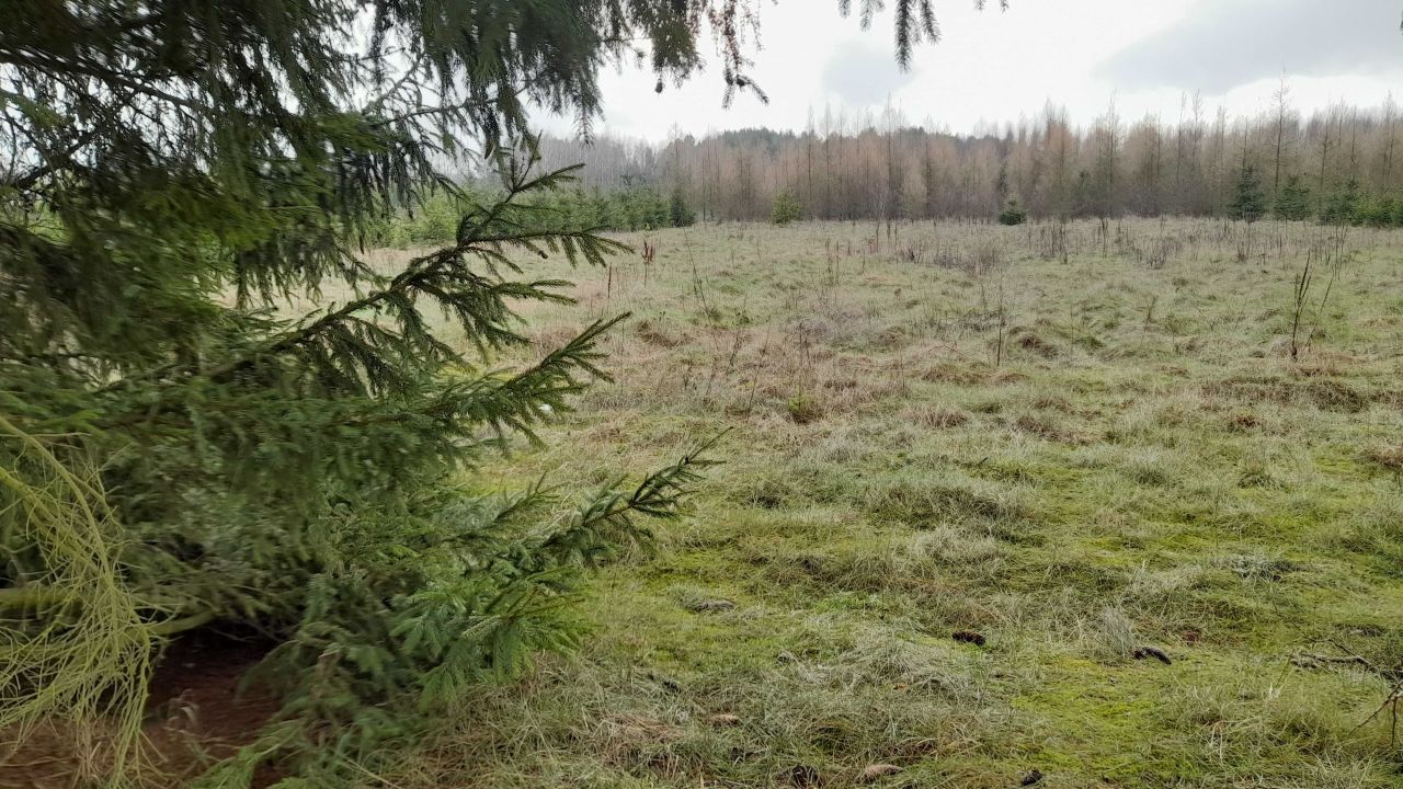 Działka rolno-budowlana Wichrowiec. Zdjęcie 1