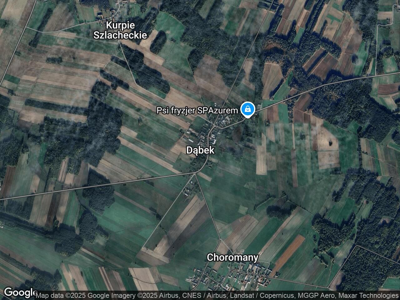 Działka leśna Dąbek