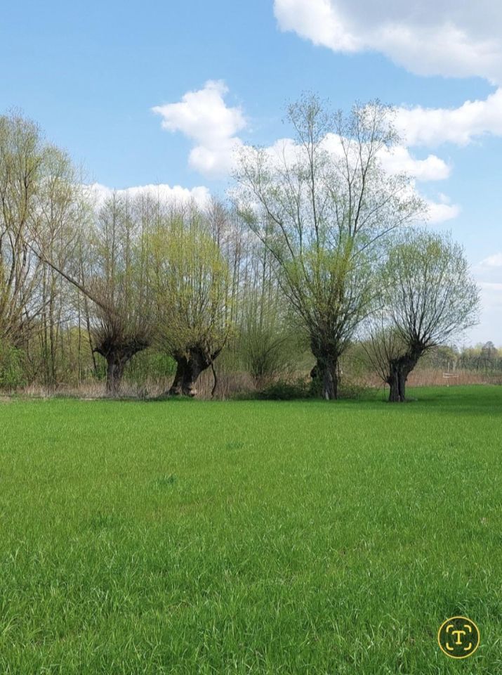 Działka inna Wilga, ul. Adama Mickiewicza. Zdjęcie 3