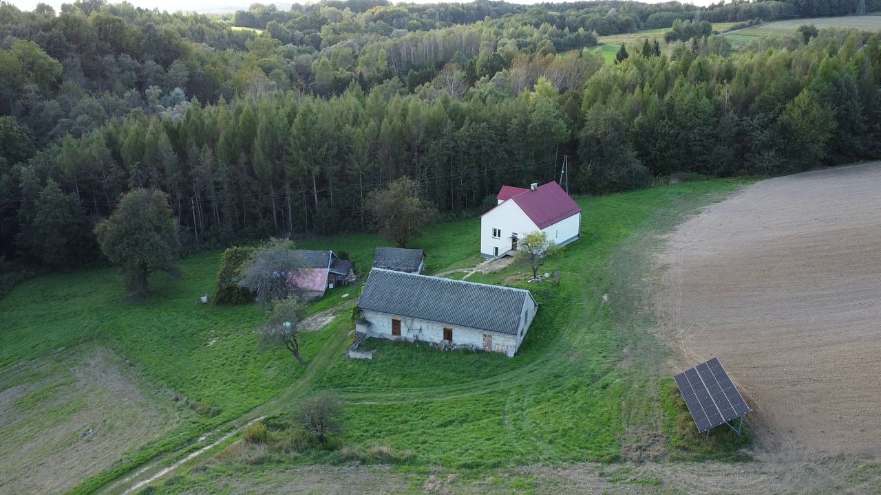 gospodarstwo Podgrodzie. Zdjęcie 3