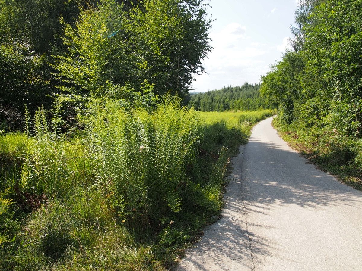 Działka rekreacyjna Śladów. Zdjęcie 12