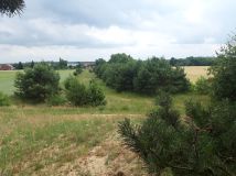 Działka budowlana Świerczyna. Zdjęcie 1