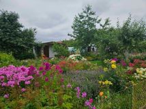 Działka rod Koszalin. Zdjęcie 3