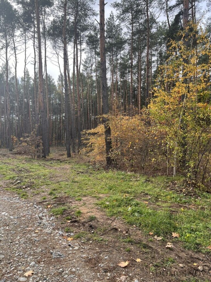 Działka budowlana Sulejówek, ul. Muzyczna. Zdjęcie 3