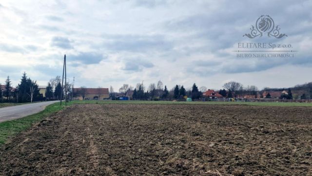 Działka siedliskowa Sokolniki. Zdjęcie 8