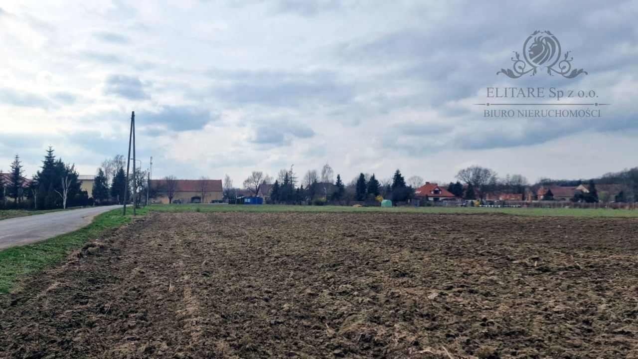 Działka siedliskowa Sokolniki. Zdjęcie 8