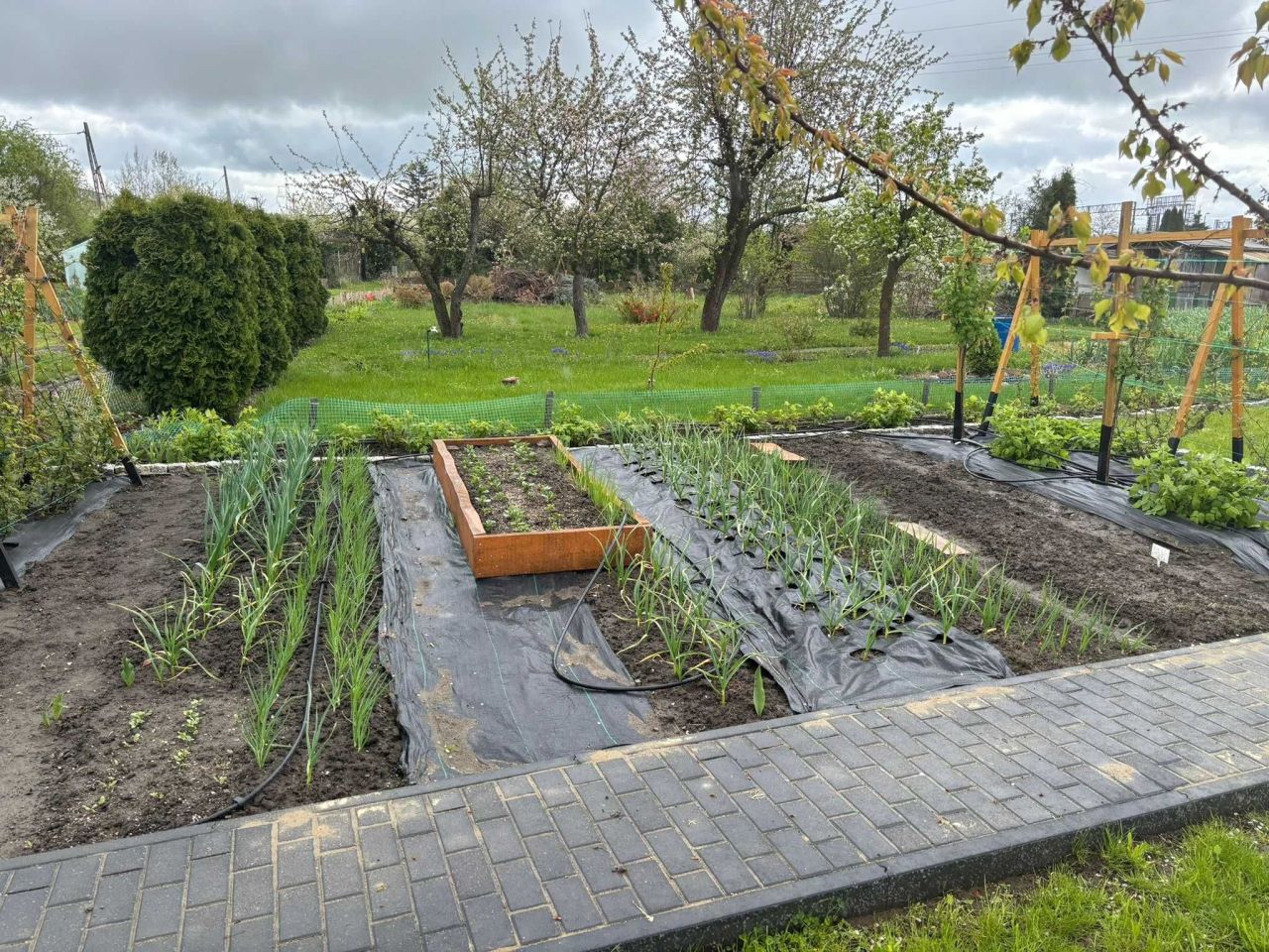 Działka rod Malbork, ul. Sadowa. Zdjęcie 7