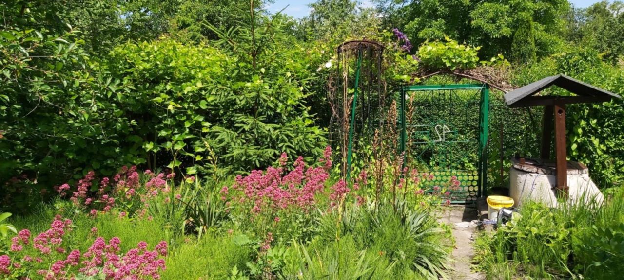 Działka rod Gliwice, ul. Marii Skłodowskiej-Curie. Zdjęcie 6