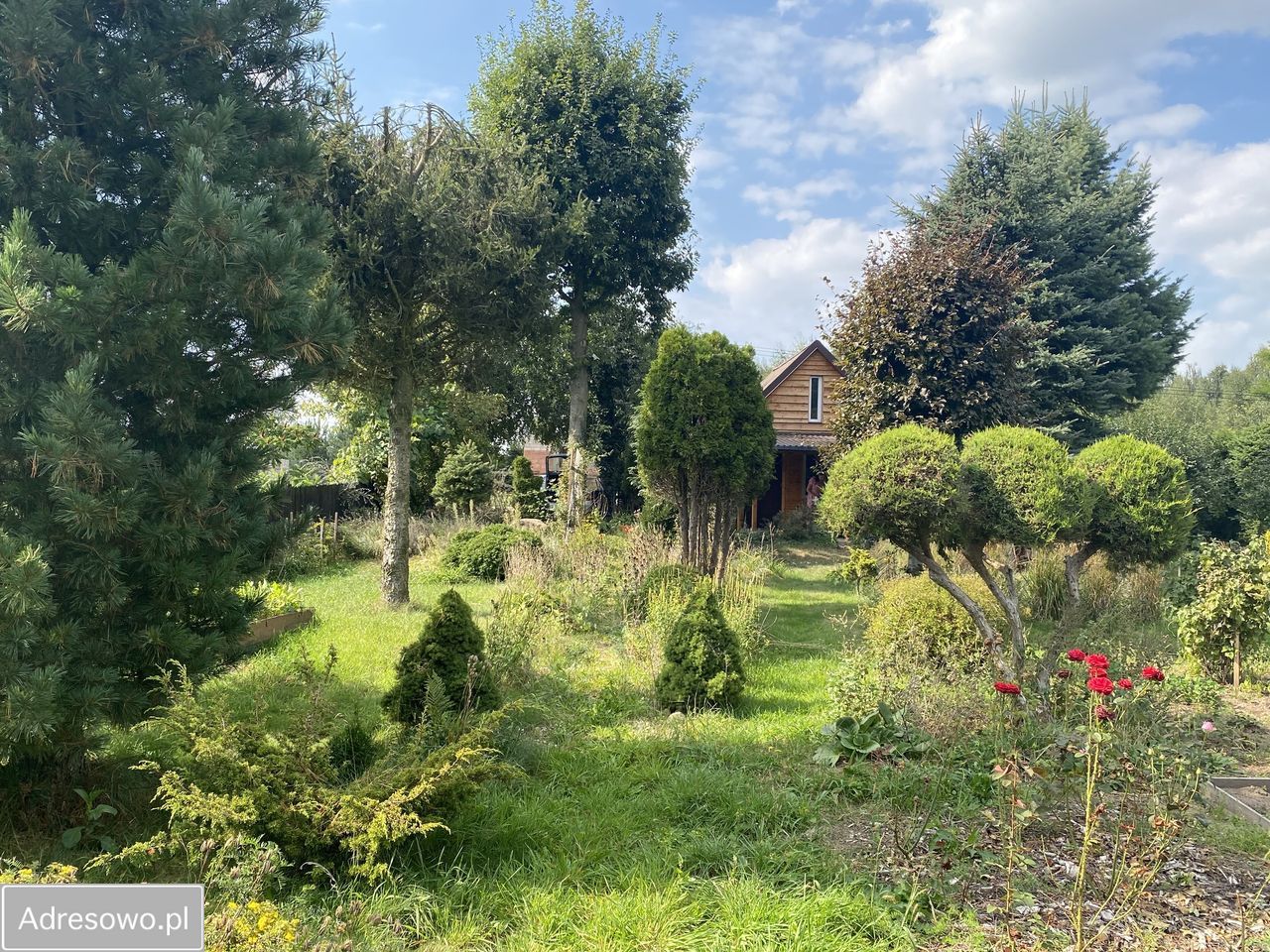 Działka budowlana Stare Kupiski, ul. Pogodna. Zdjęcie 9