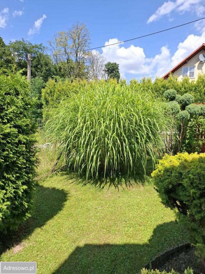 dom wolnostojący, 4 pokoje Janowice, ul. Jana Kubika. Zdjęcie 6