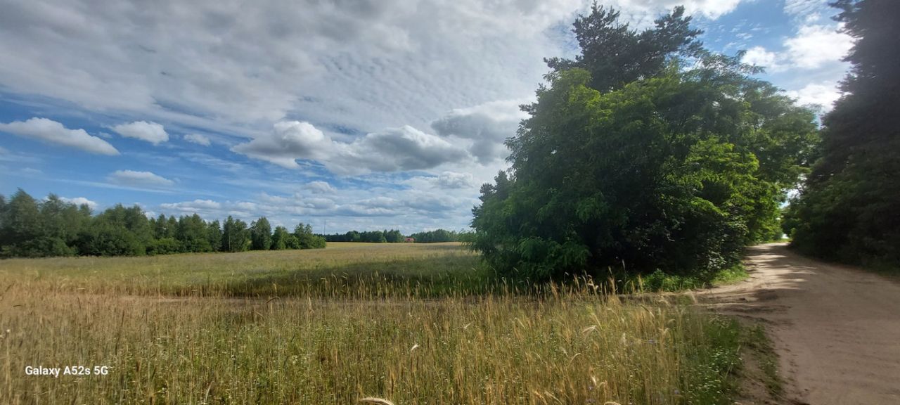 siedlisko, 6 pokoi Rumunki Tupadelskie. Zdjęcie 6