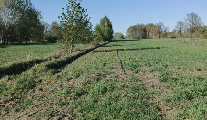 Działka budowlana Feliksów