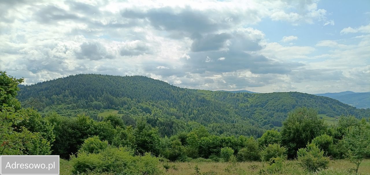 Działka rolna Mutne. Zdjęcie 4