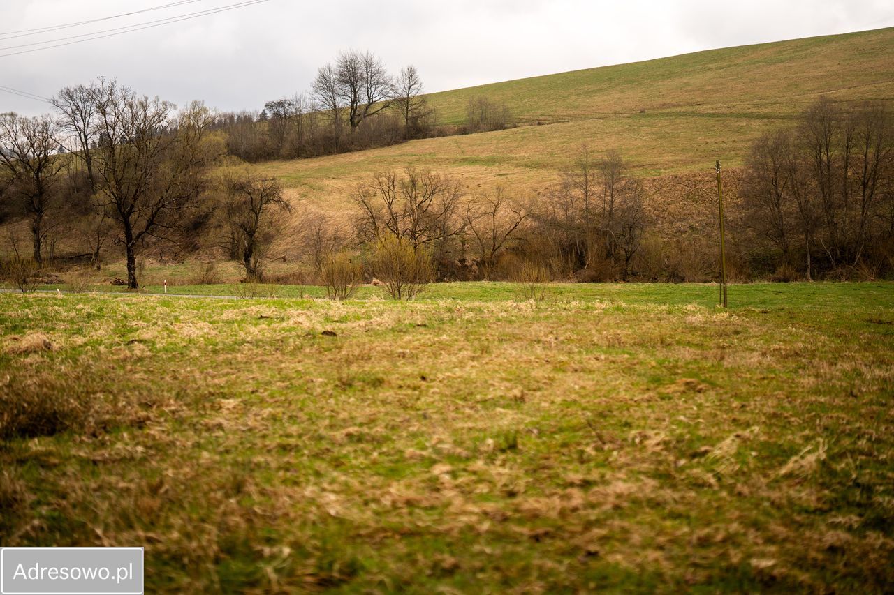 Działka budowlana Liskowate. Zdjęcie 8