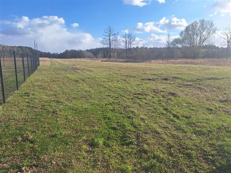 Działka inwestycyjna Żanęcin, Biesiadna. Zdjęcie 4