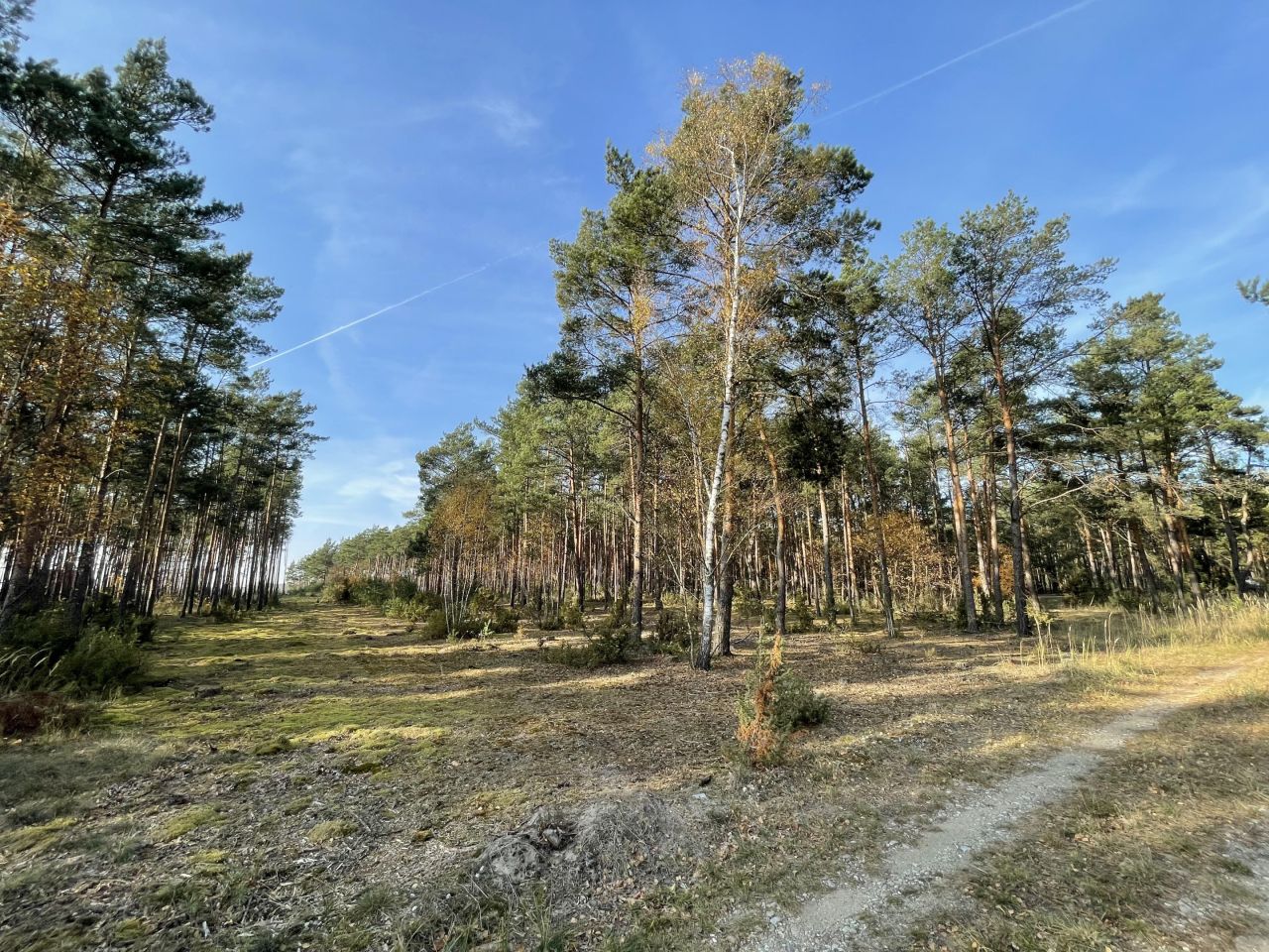 Działka budowlana Młyniska, Młyniska. Zdjęcie 3