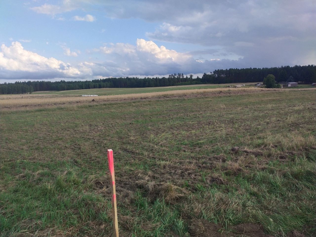 Działka rolno-budowlana Huta. Zdjęcie 2
