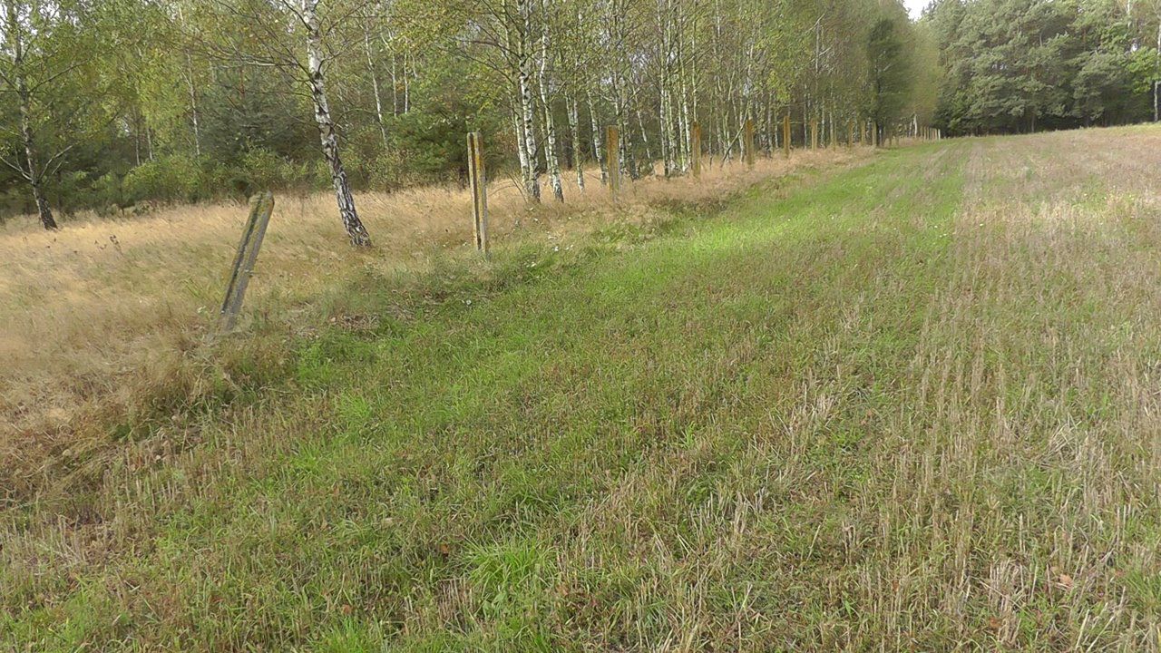 Działka inwestycyjna Zabłocie-Kolonia. Zdjęcie 7