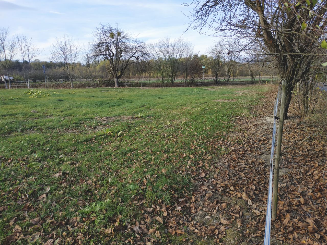 Działka inwestycyjna Kazimierz Dolny Dąbrówka, Dąbrówka. Zdjęcie 13