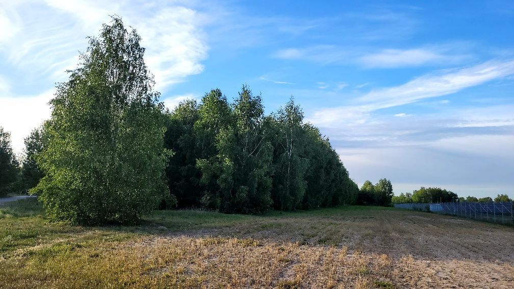 Działka rolna Adamowa Góra. Zdjęcie 6