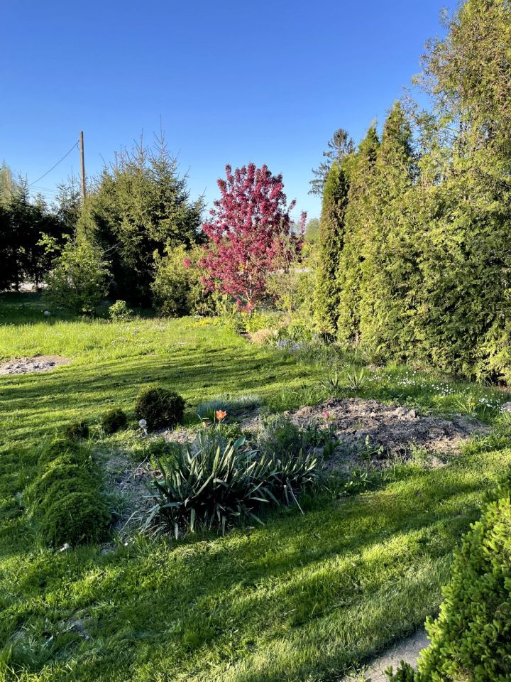 Działka rekreacyjna Ignatki. Zdjęcie 14