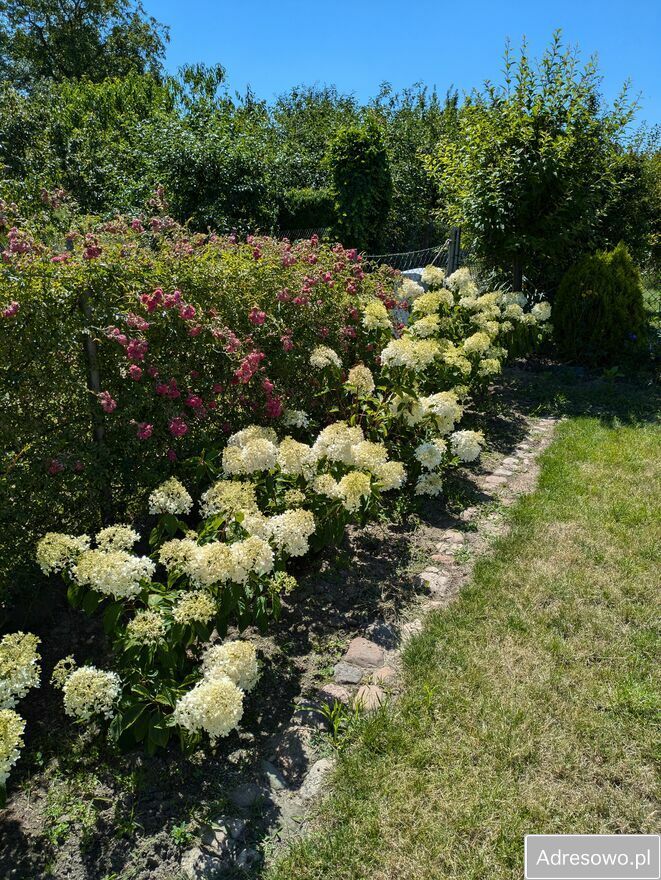 Działka rod Witkowo, ul. Dworcowa. Zdjęcie 6