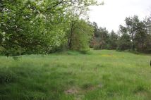 Działka budowlana Przybyszowy. Zdjęcie 4