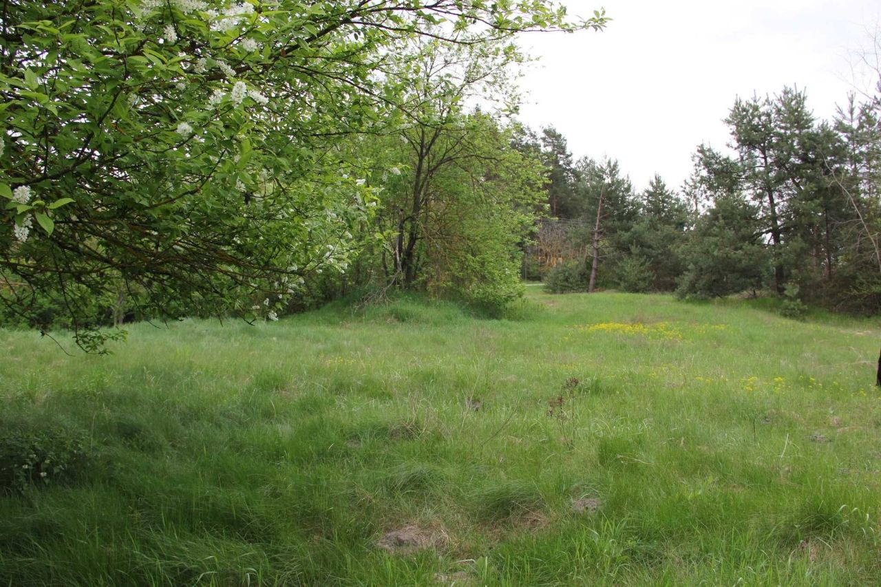 Działka budowlana Przybyszowy. Zdjęcie 5