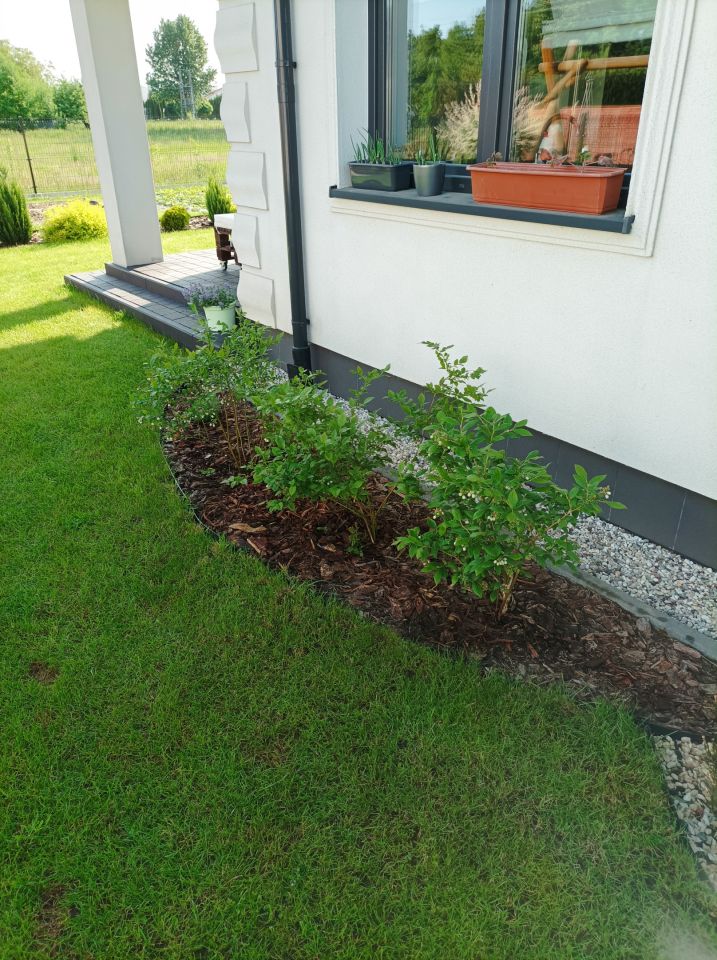 bliźniak, 4 pokoje Falenty Nowe, Karola i Dawida. Zdjęcie 18