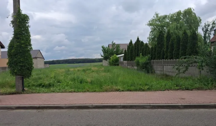 Działka rolna Zbory
