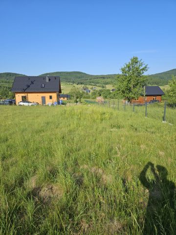 Działka budowlana Wysowa-Zdrój. Zdjęcie 1