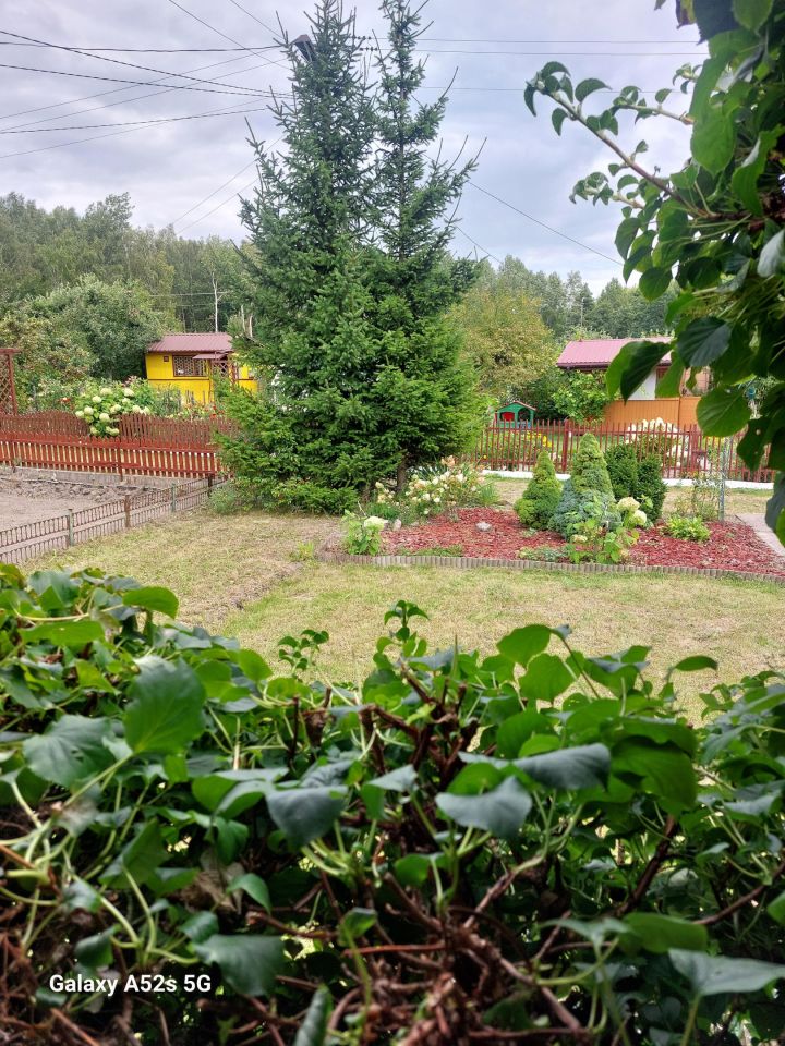 Działka rod Starachowice Skałka, ul. Leśna. Zdjęcie 11