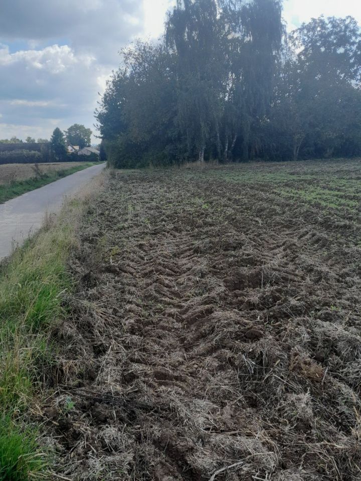 dom wolnostojący Jastrzębniki. Zdjęcie 8