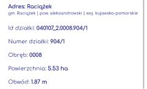 Działka rolna Raciążek, ul. Pole. Zdjęcie 1